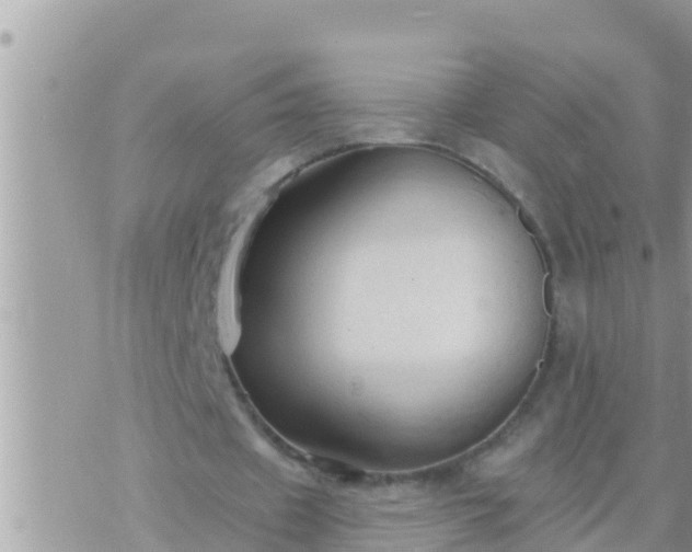 X0000073760433200608102049