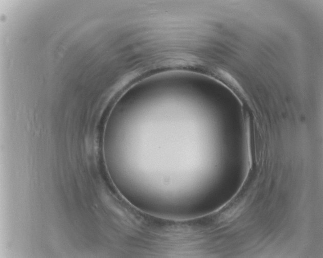 X0000073760435200608102049