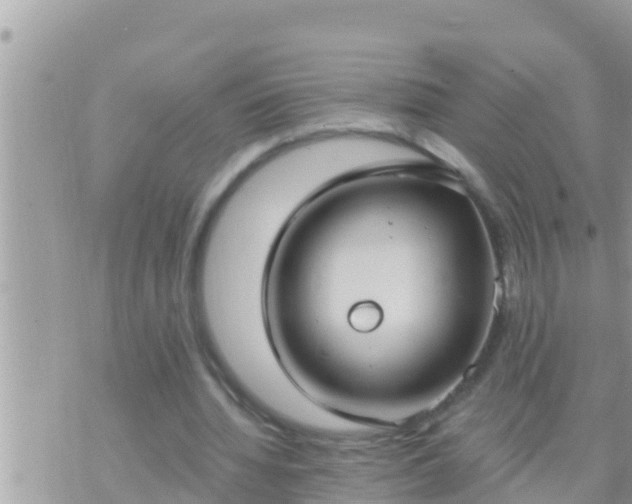 X0000073760436200608102049