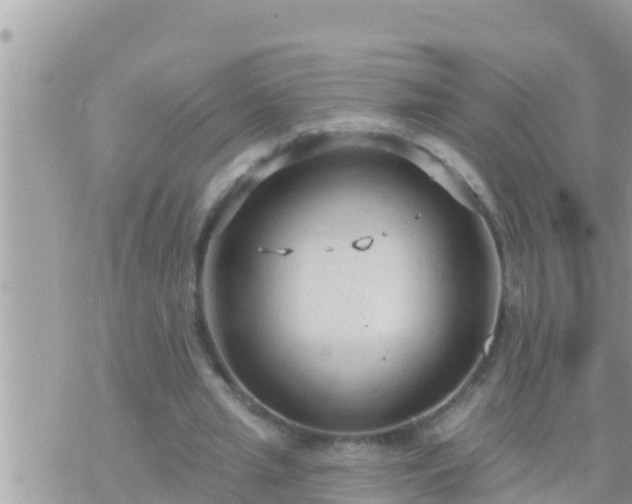 X0000073760437200608102049