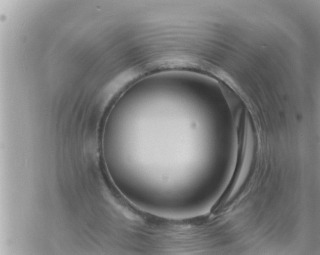 X0000073760438200608102049