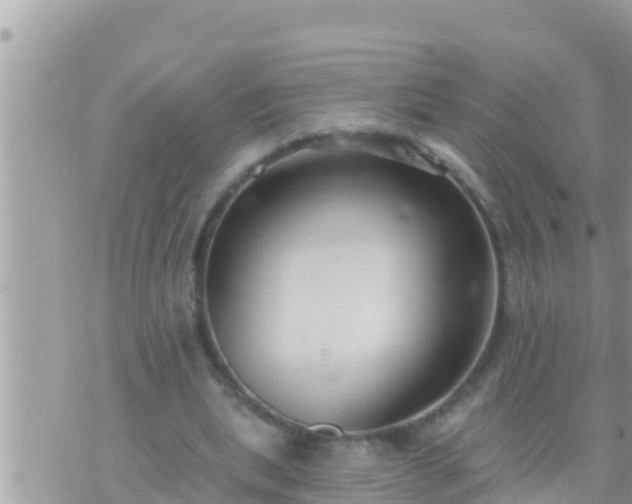 X0000073760439200608102049