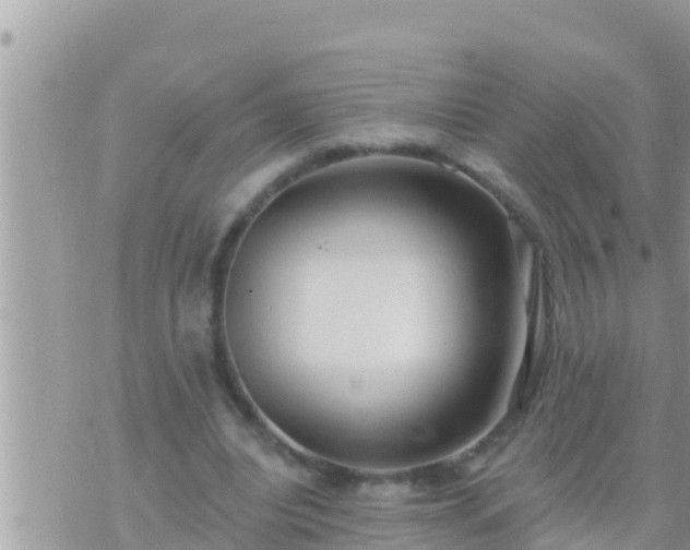 X0000073760440200608102049