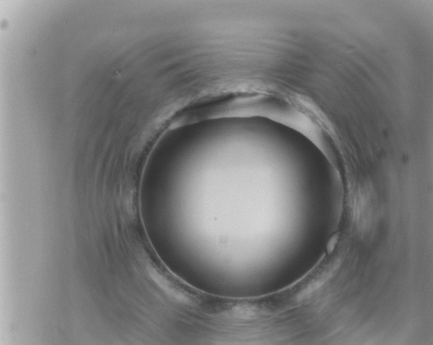 X0000073760441200608102049