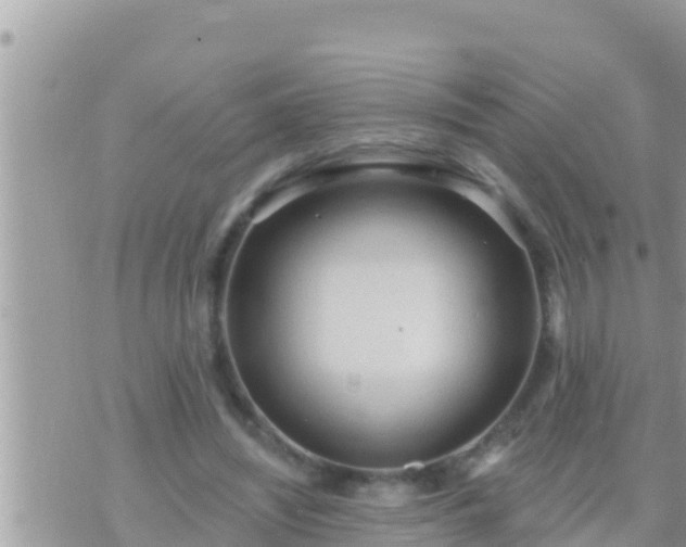 X0000073760444200608102049