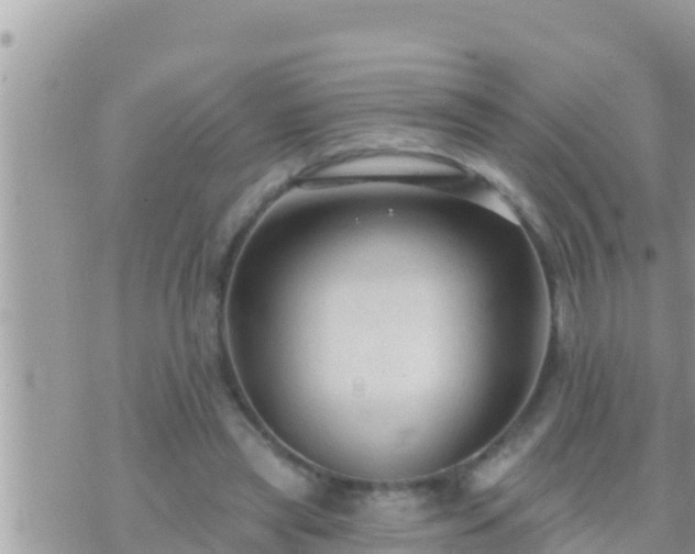 X0000073760445200608102050