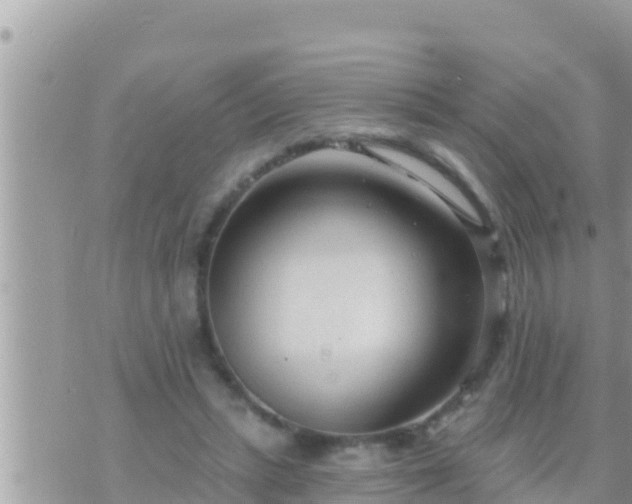 X0000073760447200608102050