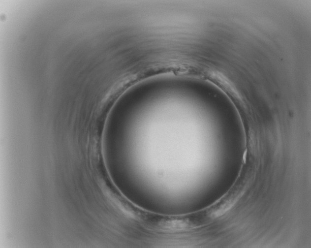 X0000073760449200608102050