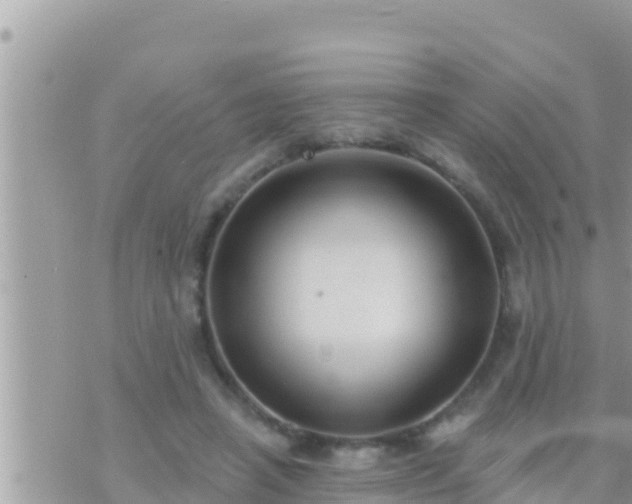 X0000073760450200608102050