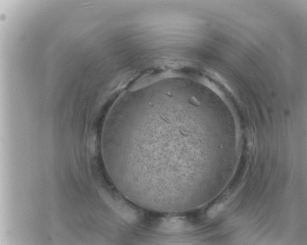 X0000073760451200608102050