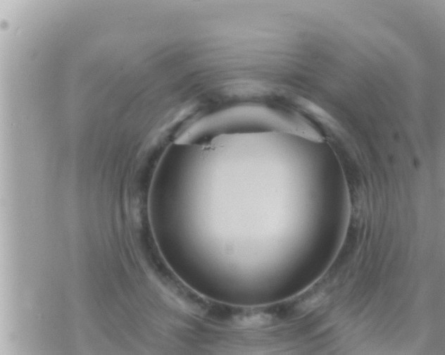 X0000073760452200608102050