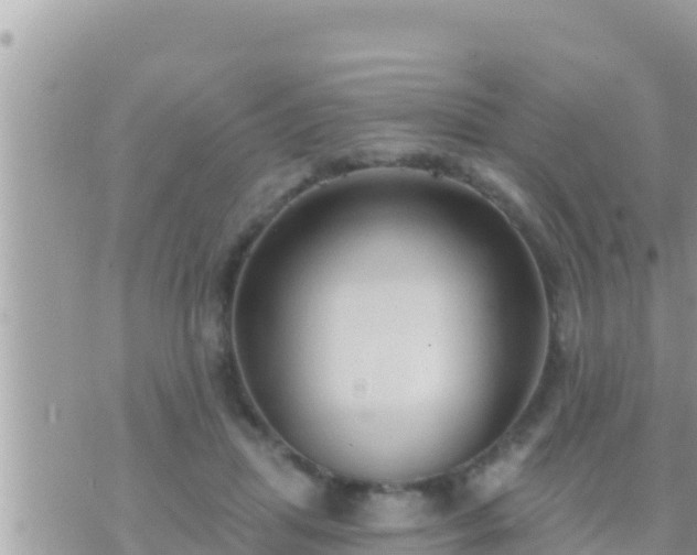 X0000073760455200608102050