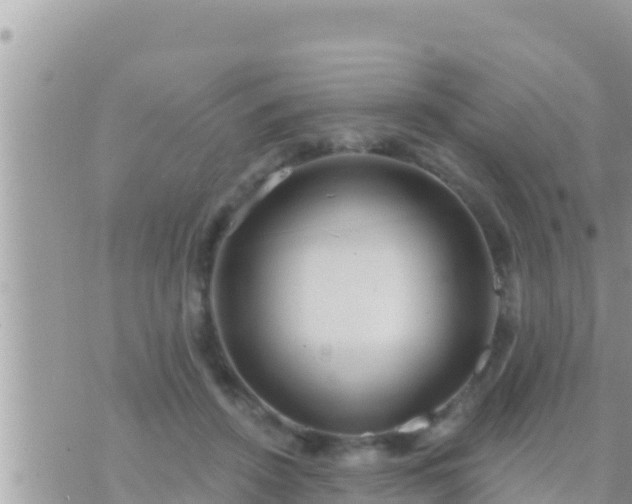 X0000073760456200608102050