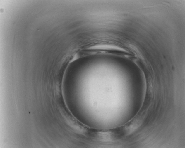 X0000073760457200608102050