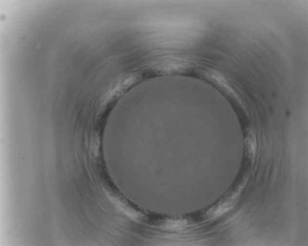 X0000073760458200608102050