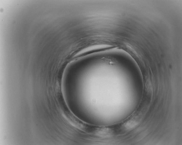 X0000073760459200608102050