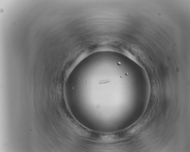 X0000073760461200608102050