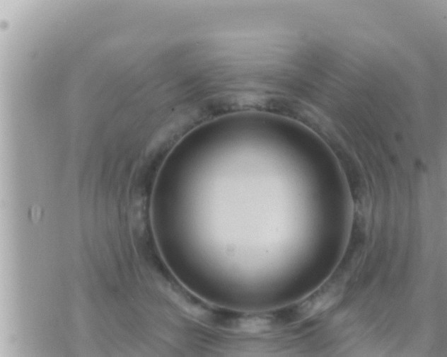 X0000073760462200608102050