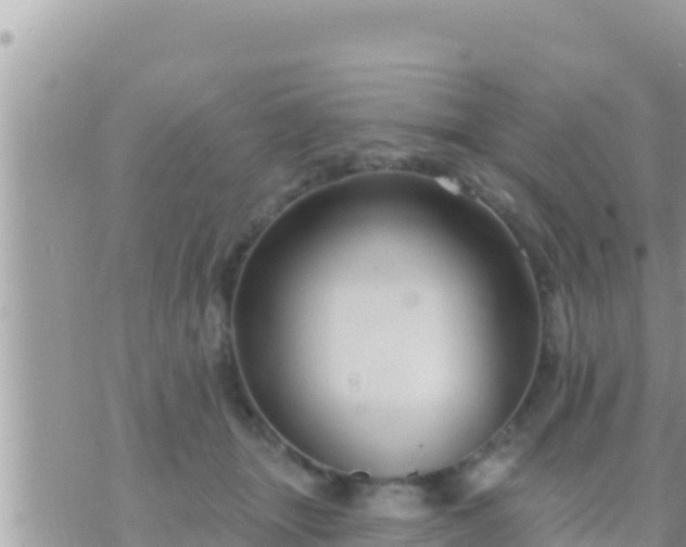 X0000073760463200608102050