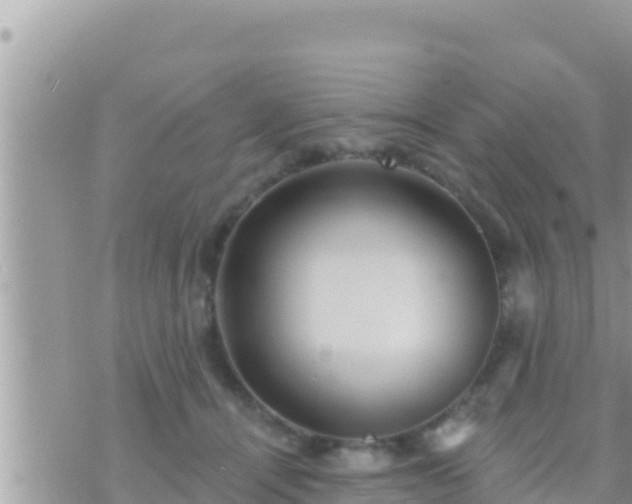 X0000073760464200608102050