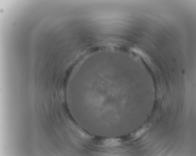 X0000073760465200608102050