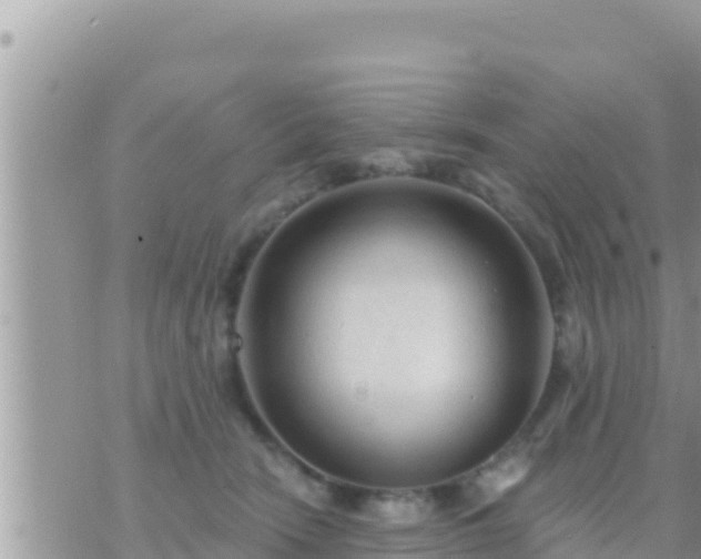 X0000073760466200608102050