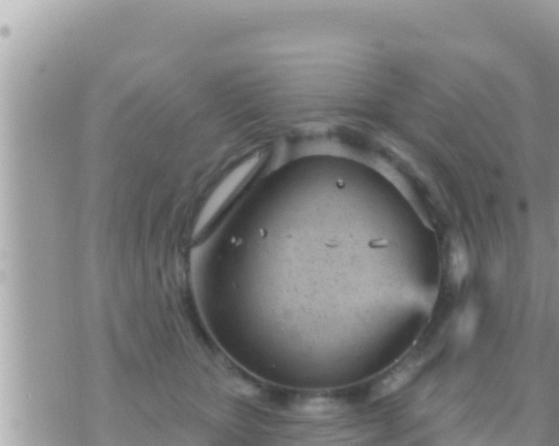 X0000073760467200608102050