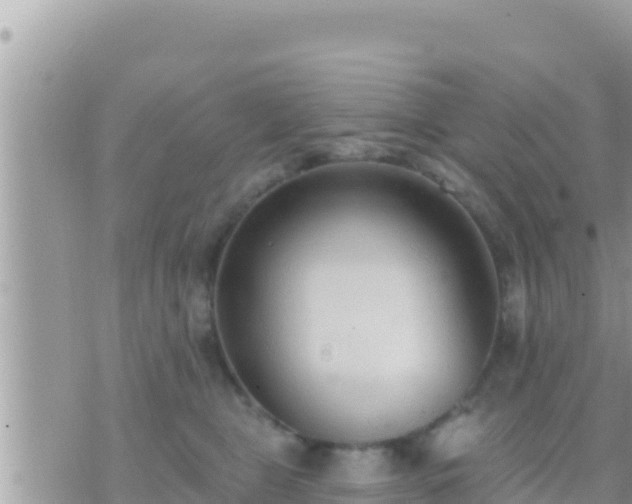 X0000073760469200608102050