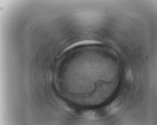 X0000073760471200608102050