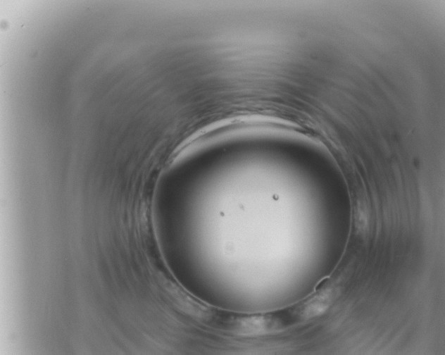 X0000073760473200608102050