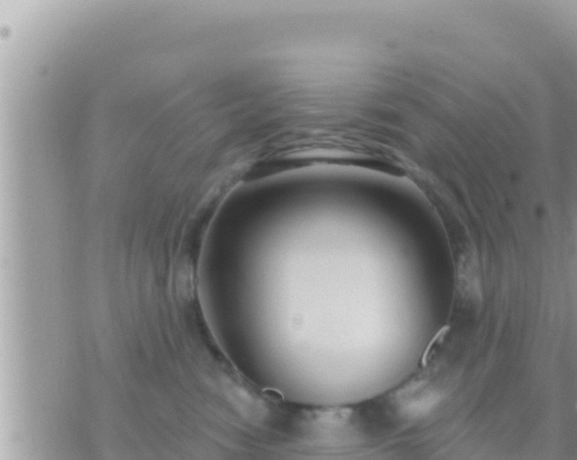 X0000073760474200608102050