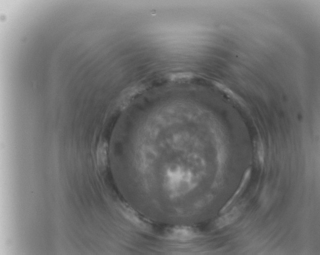 X0000073760475200608102050