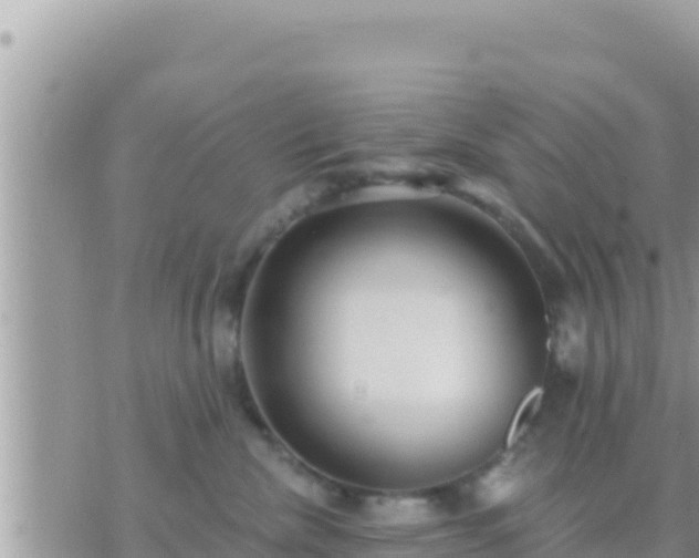 X0000073760476200608102050