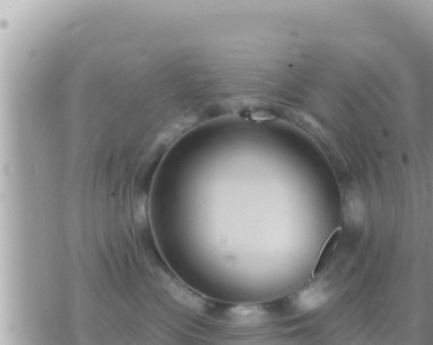 X0000073760477200608102050