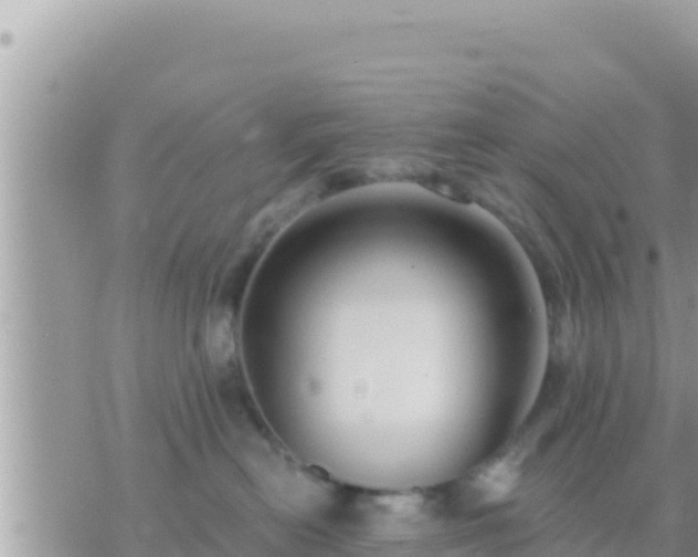 X0000073760478200608102050