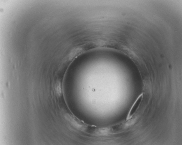 X0000073760479200608102050