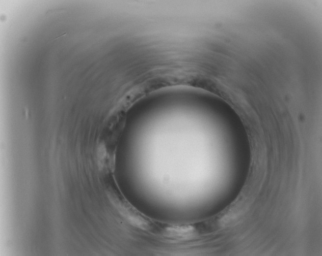 X0000073760480200608102050