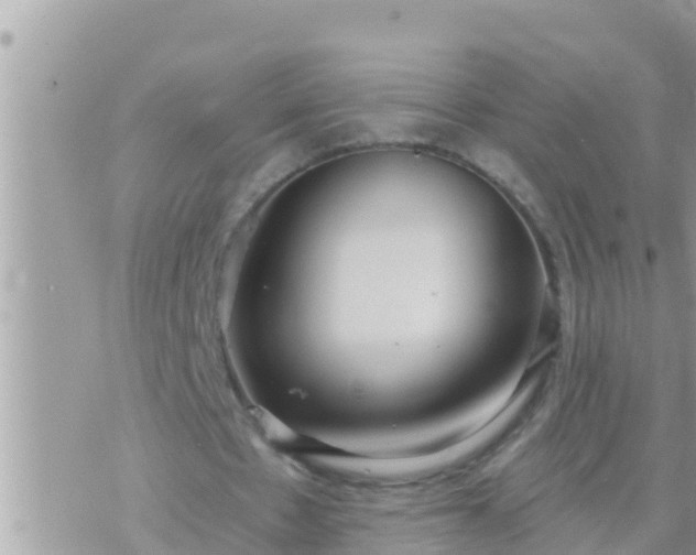 X0000073760481200608102049