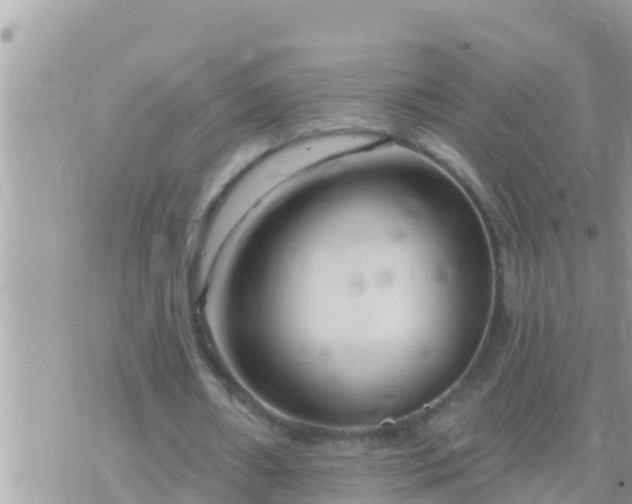 X0000073760482200608102049