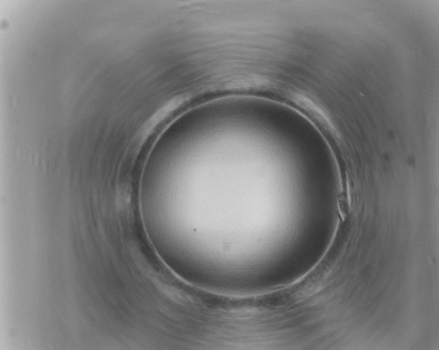 X0000073760483200608102049