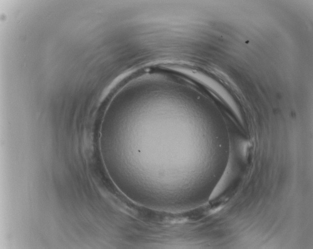 X0000073760484200608102049