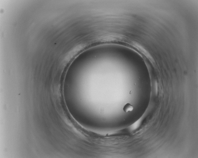 X0000073760485200608102049