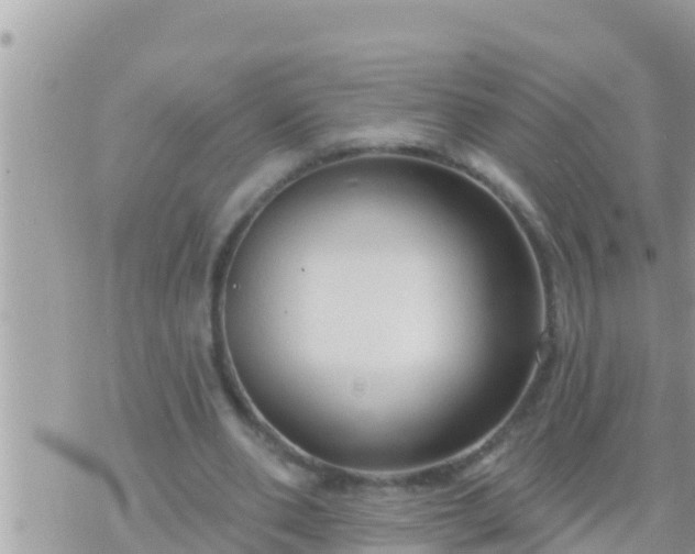 X0000073760486200608102049