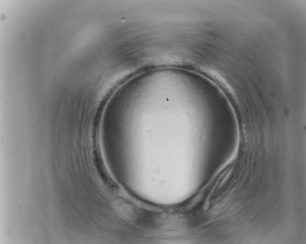 X0000073760487200608102049