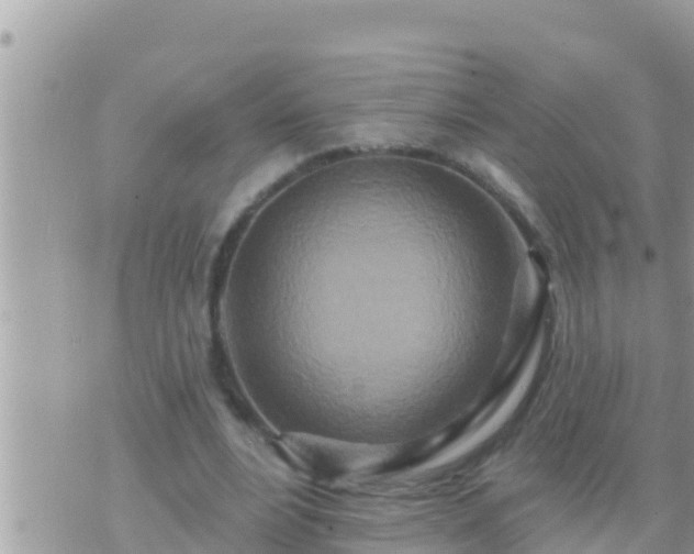 X0000073760488200608102049