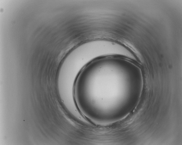 X0000073760489200608102049