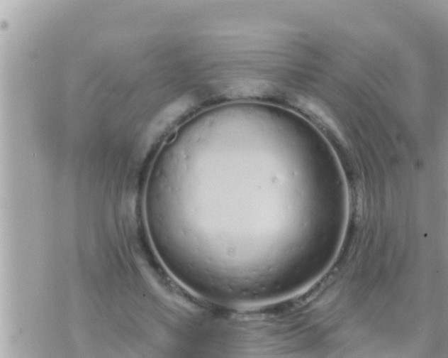 X0000073760491200608102049