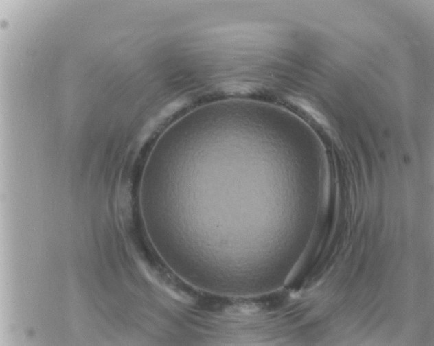 X0000073760492200608102049