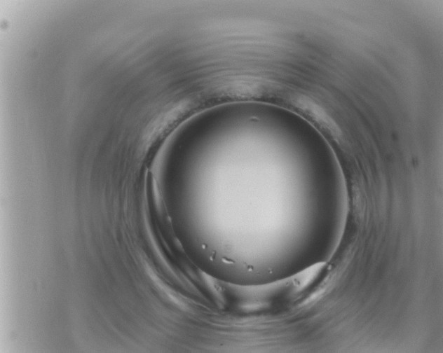 X0000073760493200608102049