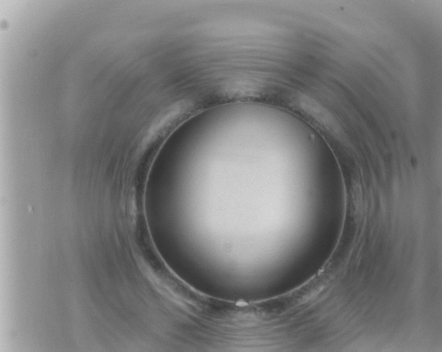 X0000073760494200608102049